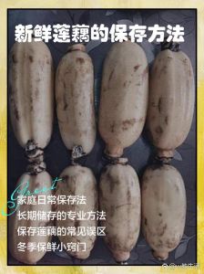 怎么判断莲藕熟不熟_如何挑选熟藕？看颜色摸手感试煮熟