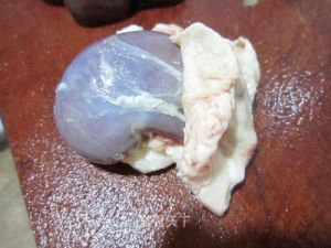 羊腰子如何处理干净_白糖淀粉去腥，羊腰嫩滑做法