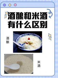 苏州的冬酿酒和米酒的区别_哪款甜酒更胜一筹？