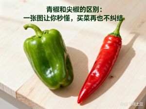 青椒和黄皮椒的区别_青椒黄皮椒怎么挑？颜色成熟度是关键！