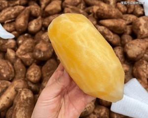 雪莲果与红薯的区别_外形相似但差异大