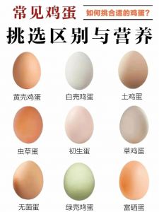 笨鸡蛋跟洋鸡蛋有区别吗_风味与营养的比较选择