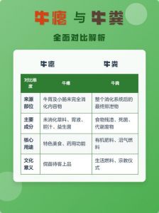 牛瘪和牛粪的区别_传统美食，独特风味，待客佳肴