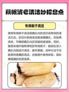 怎样清洗藕孔里的泥巴_挑好藕，冲孔洞，去污易