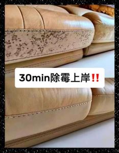 发霉了用什么处理_硬毛刷刮除，漂白剂擦拭，紫外线杀菌，防霉涂料保护