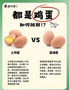 土鸡蛋是不是比较腥_哪个更好？