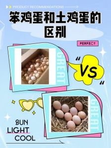 笨鸡蛋与养殖鸡蛋营养区别_哪个更适合你？