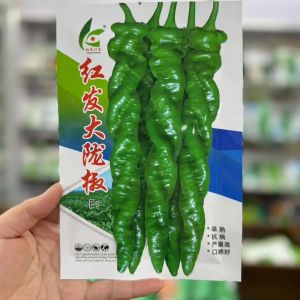 陇椒和杭椒区别_江浙特色杭椒，鲜甜适口，腌制快炒皆宜！