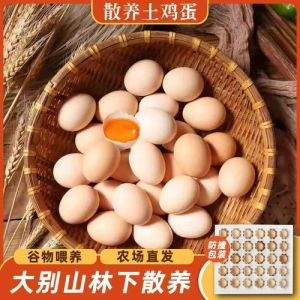 柴鸡蛋和鲜鸡蛋区别_哪个更好？