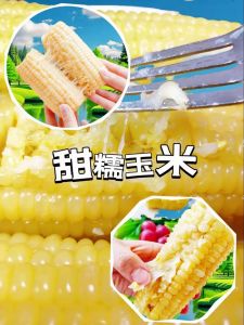 甜玉米为什么熟了不硬_甜玉米脆嫩口感，煮对时间很重要！