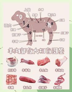 羊蝎子是啥部位_鲜美脊髓嫩肉，涮出冬日暖意