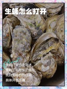 小生蚝怎么处理干净内脏_硬毛刷刷生蚝，蒸着吃美味！