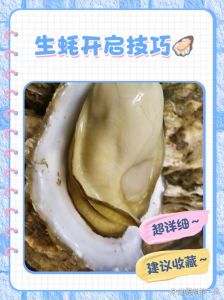 如何打开生蚝壳最简单方法_生蚝壳硬难开？厨房新手学开生蚝！