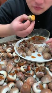 煮香螺的正确方法_盐水泡吐沙，花椒水煮香螺，葱姜芹菜汤汁浇，美味营养！