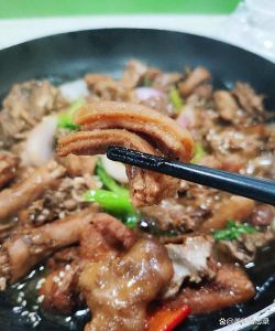 白汁羊肉最正宗的做法_选对料，巧炖煮