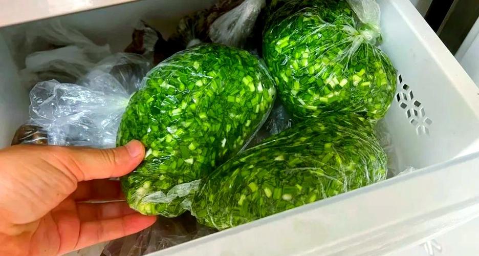 韭菜冷冻的储存方法_韭菜冷藏10天保鲜，冷冻2-3个月存，口感软风味存！