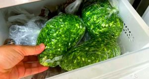 韭菜冷冻的储存方法_韭菜冷藏10天保鲜，冷冻2-3个月存，口感软风味存！