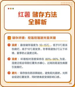 红薯储存长久的方法_红薯科学储存方法，保住整个冬天！