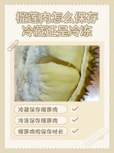 榴莲的正确保存方法_冷藏冷冻轻松选