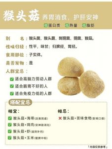 猴头菇干家常做法_猴头菇去苦味做法与食谱