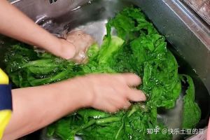 开水烫雪里蕻最简单三个步骤_雪里蕻巧处理，不变质保翠绿，风味佳