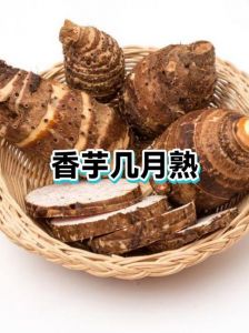 芋头煮10分钟能熟吗_上汽10分钟，老芋头稍加时