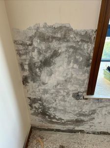 墙身发霉最简单处理_墙霉不用药，酒精苏打除霉快