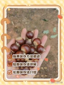 熟板栗保存的正确方法_糖炒板栗怎么保存？防潮冷冻是关键