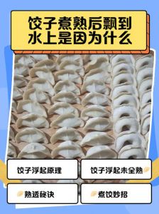 冻饺子浮起来是熟了吗_饺子浮起不等于熟，看透明度按压来判断！