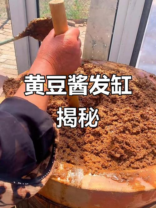 黄豆自然发酵方法_自制优质霉豆子，简单易学，发酵黄豆肥养花好！