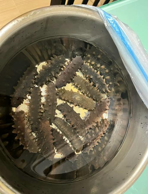 干海参的正确泡发方法图解_优质干海参挑选与泡发秘籍