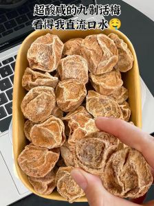 梅子晒干的正确方法_盐水泡梅子，去核糖煮，晾干储存梅子干
