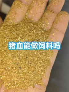 生猪血的加工方法_搅拌加热加淀粉，吃法多营养好