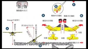 让鹅毛飞的过关方法_鹅毛飞行策略游戏，选公鹅拔毛显技巧！