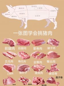 猪肉分几个部位图解_下五花上五花里脊肉颈背肉前肘肉