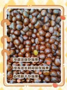 新鲜板栗的保存方法_常温一周，冷藏一两个月，冷冻半年！