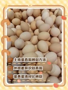 鸡蛋绿壳跟粉壳区别在哪_鸡蛋颜色营养一样？挑对才新鲜！