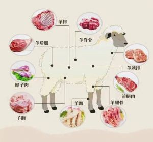 羊腩是哪个部位图片_羊腩选购与烹饪指南