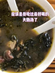 大肠酸汤的做法大全_家常大肠酸汤，酸爽醇厚超美味！