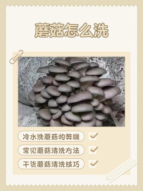 鲜蘑菇焯水的正确方法_焯水蘑菇时间看种类，快炒快烫求爽脆