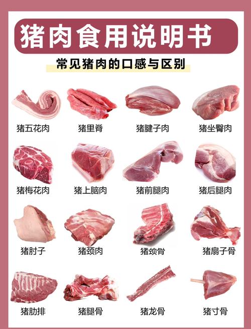 猪肉分几个部位图解_下五花上五花里脊肉颈背肉前肘肉 猪肉分几个部位图解_下五花上五花里脊肉颈背肉前肘肉