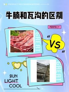 牛瓦沟最正宗的做法_牛瓦沟萝卜汤，暖心暖胃好滋味！