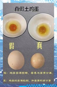 煮熟的真假鸡蛋最快方法_摸纹理摇声音闻气味，轻松辨真假鸡蛋