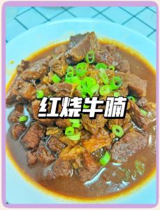 牛腩家常做法大全_多种牛腩做法，风味升级！