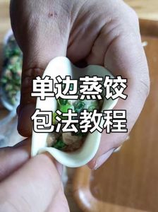 家常做蒸饺最简单的方法_蒸饺清爽不油腻，荠菜韭菜馅超鲜美！