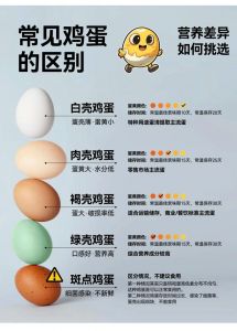 红壳鸡蛋与白壳鸡蛋有何区别_红壳白壳蛋哪个好？营养没差，挑选看新鲜