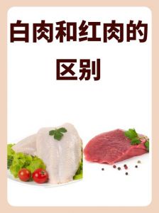 红烧肉和把子肉的区别_红烧肉甜香软糯，把子肉鲜嫩不腻！