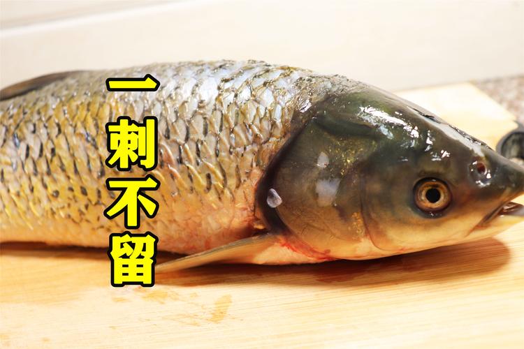 草鱼去刺的方法图解_草鱼去刺技巧,轻松无刺美味 草鱼去刺的方法图解_草鱼去刺技巧,轻松无刺美味