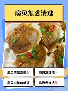 扇贝的保存方法_扇贝保存有妙招，冷藏冷冻看时间
