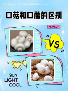 口蘑包饺子用焯水吗_口蘑包饺子不用焯，鲜香做法来教你
